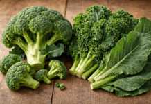 Consumo de brócolis e couve pode ajudar na prevenção do câncer de mama, aponta especialista da Wyden