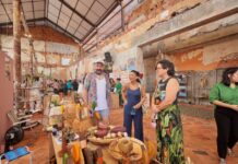 Feira D retorna ao Mercado de Origem com o tema ‘Sorte A Nossa’