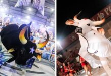 Lançamento Parintins 2026: Caprichoso e Garantido preparam grande espetáculo para abrir a nova temporada