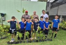 Ação sustentável: mais de 3 mil mudas frutíferas começam a ser distribuídas a agricultores no Amazonas
